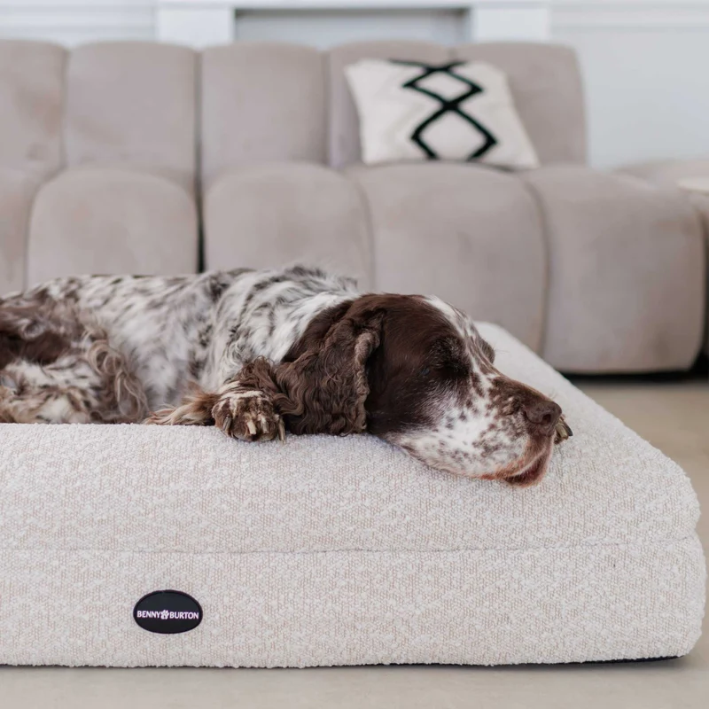 Hundebett Barklay Größe M mit Bouclébezug