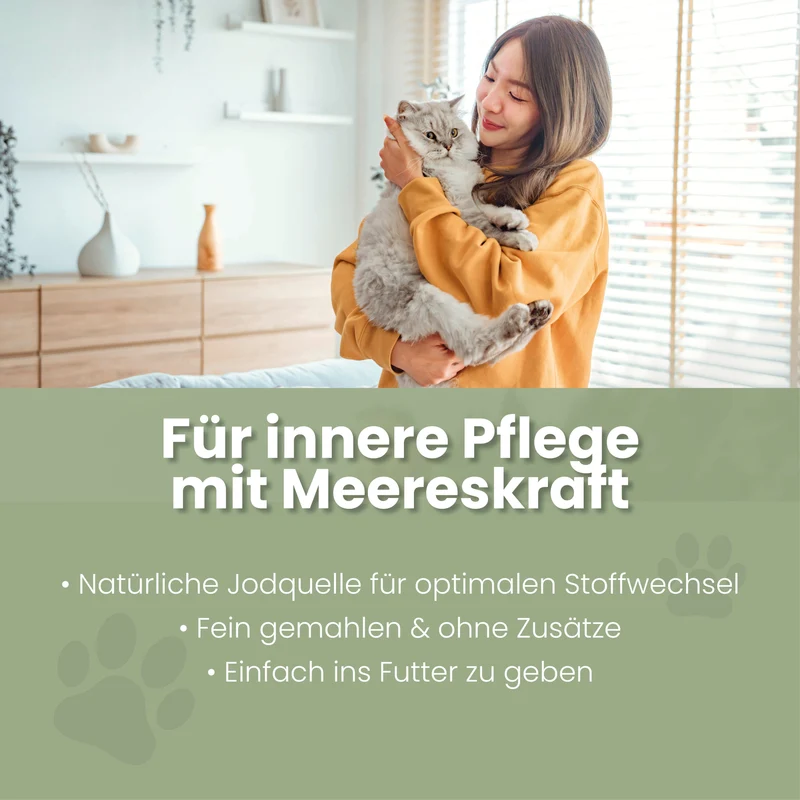 Seealgenmehl fir Kazen