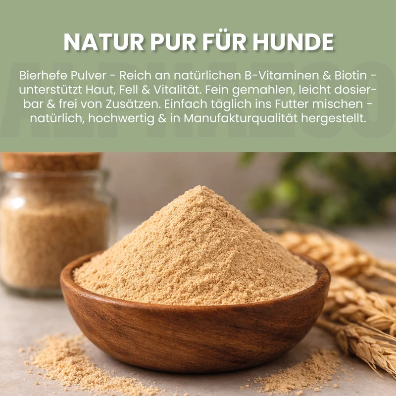 Bierhefe Pulver fir Hënn