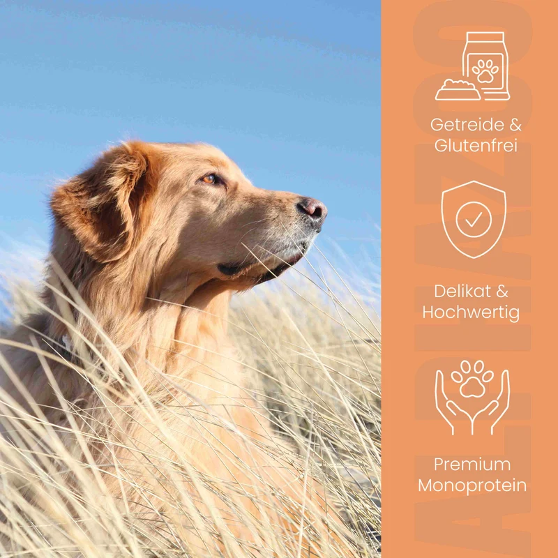 Monoprotein Rind Nassfutter fir Hunde
