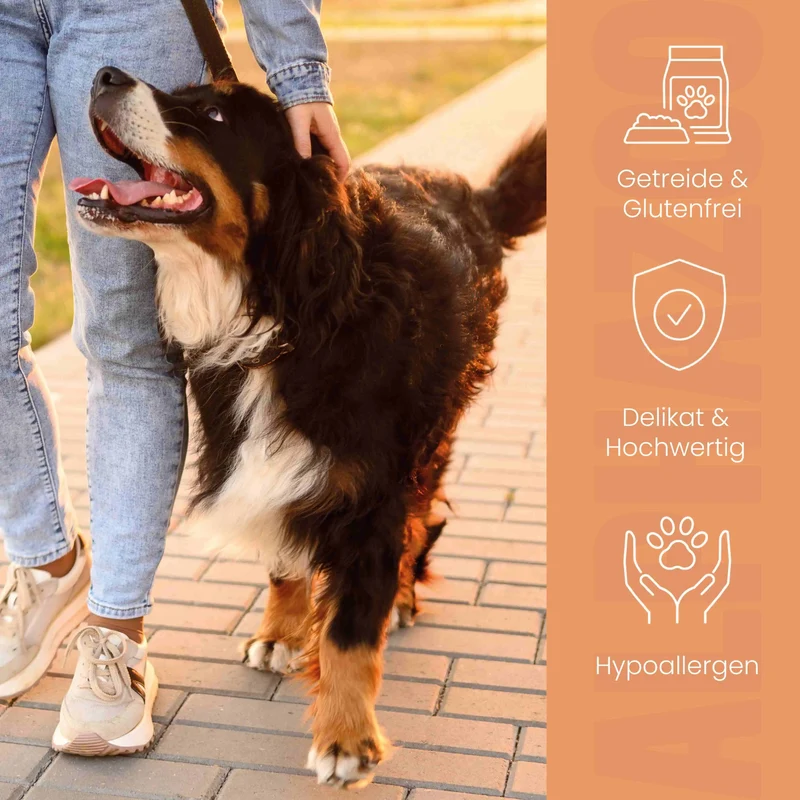 Monoprotein Huhn Nassfutter fir Hunde