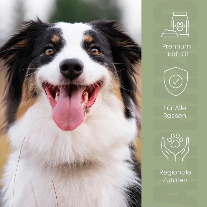 Alpha-Barf Futteröl fir Hunde