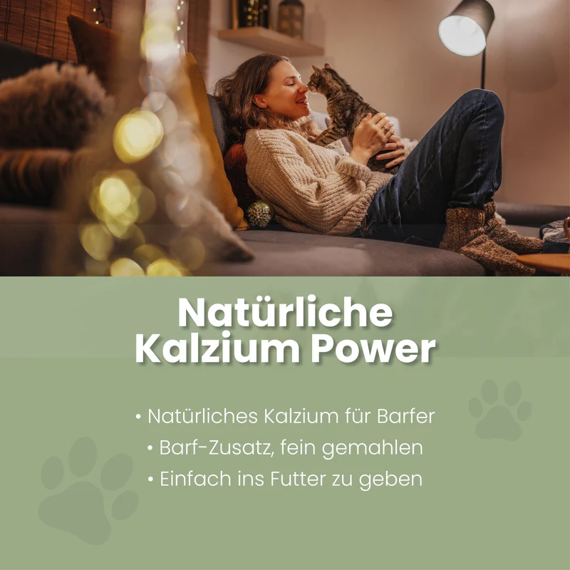 Eierschalenpulver fir Kazen