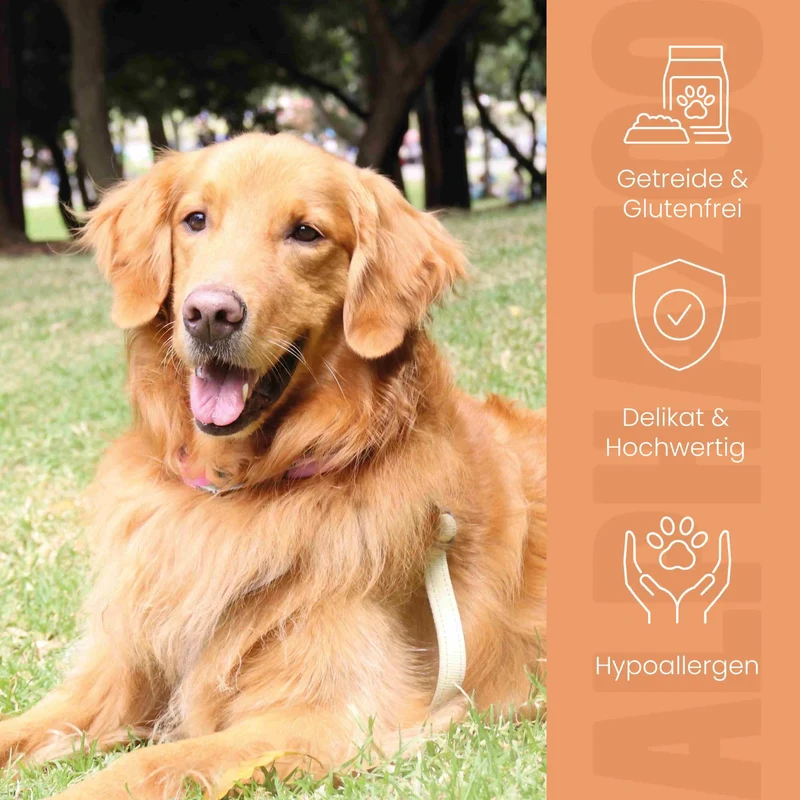 Monoprotein Pferd Nassfutter fir Hunde