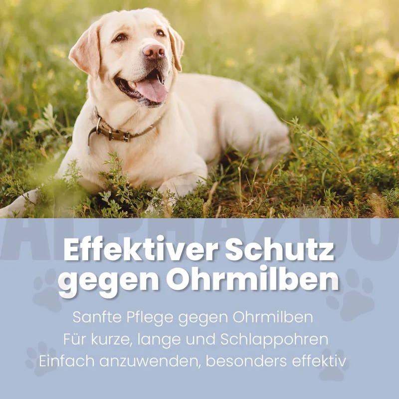 Ohrmilbenöl fir Hënn