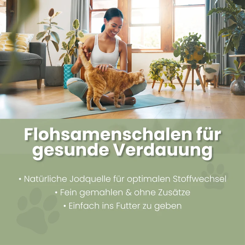Flohsamenschalen fir Kazen