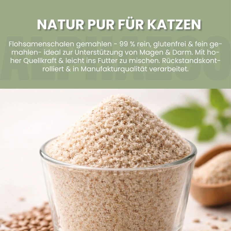 Flohsamenschalen fir Kazen