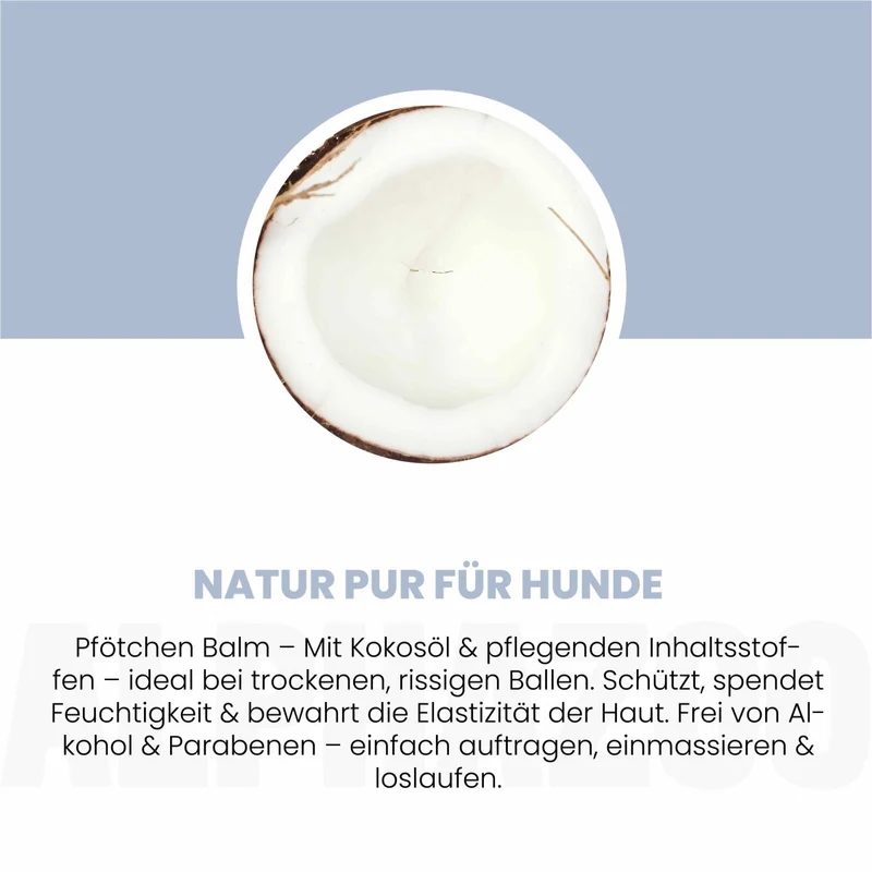 Big Paw-ty Pfotenpflege fir Hunde