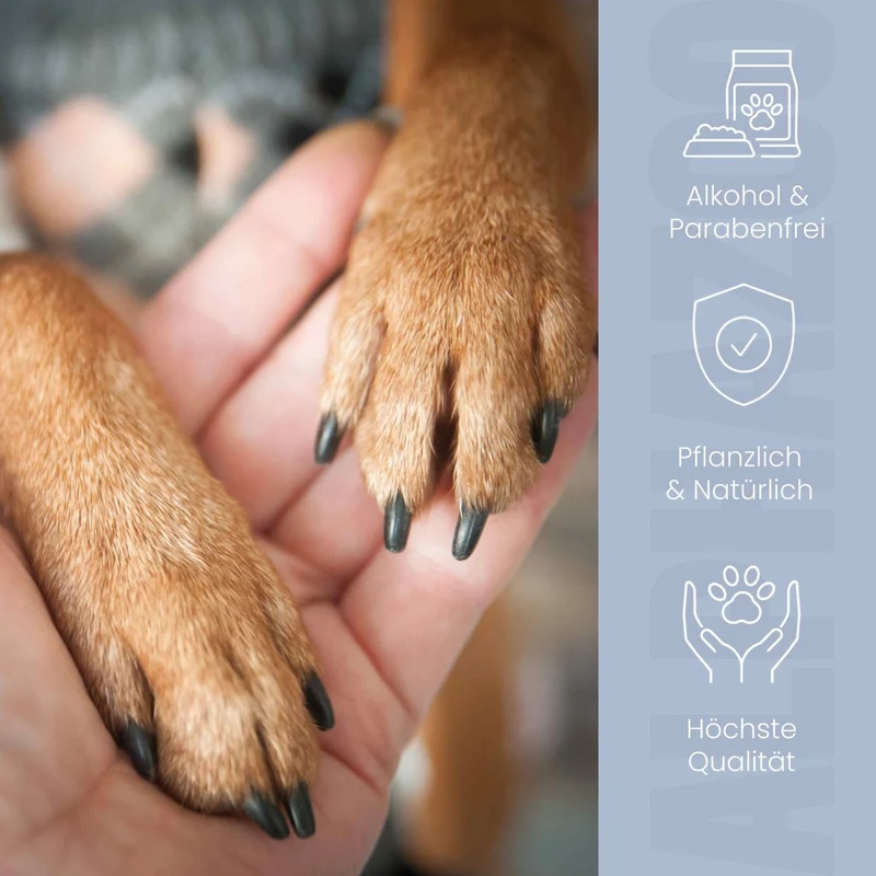Big Paw-ty Pfotenpflege fir Hunde