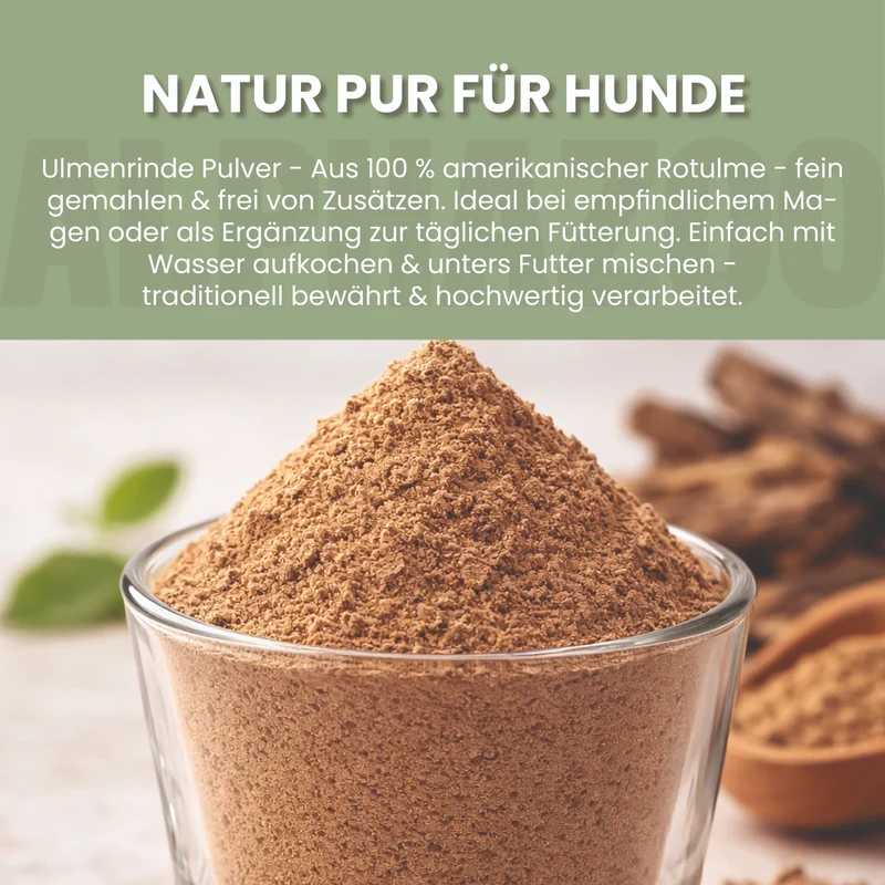 Ulmenrinde Pulver fir Hënn