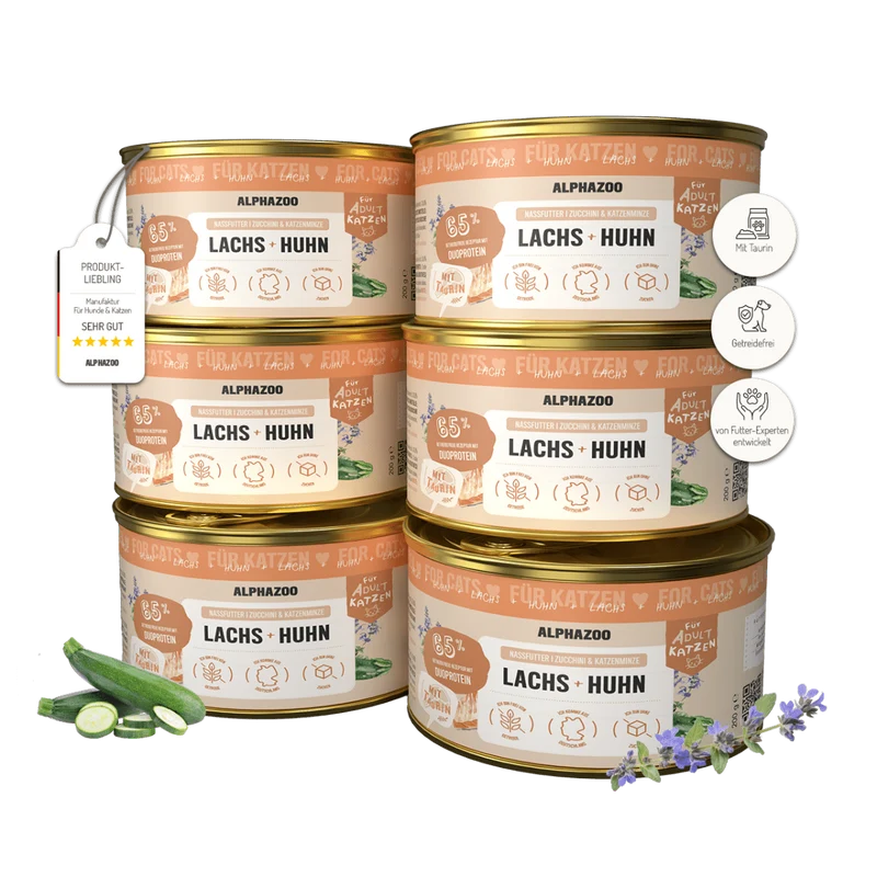 Lachs + Huhn Nassfutter für Katze