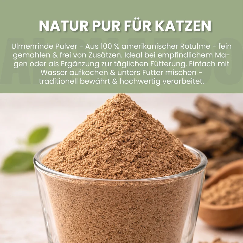 Ulmenrinde-Pulver fir Kazen