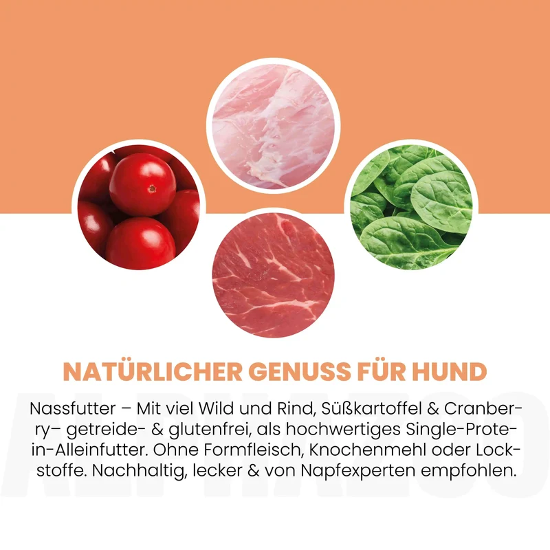 Wild + Rind Nassfutter for Adult Hunde