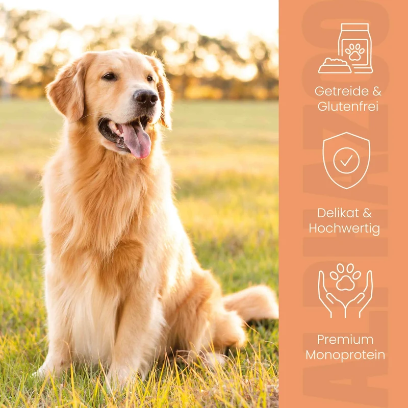 Wild + Rind Nassfutter for Adult Hunde