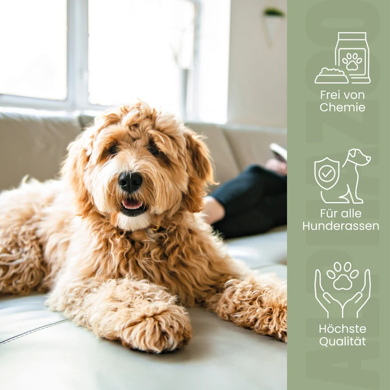 Seelenruhe Tabletten fir Hunde