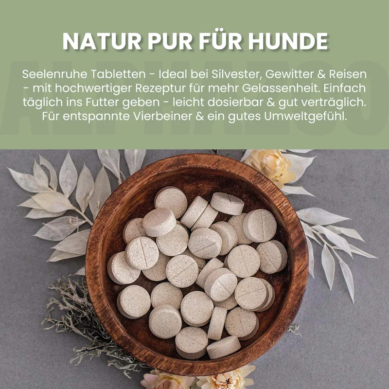 Seelenruhe Tabletten fir Hunde