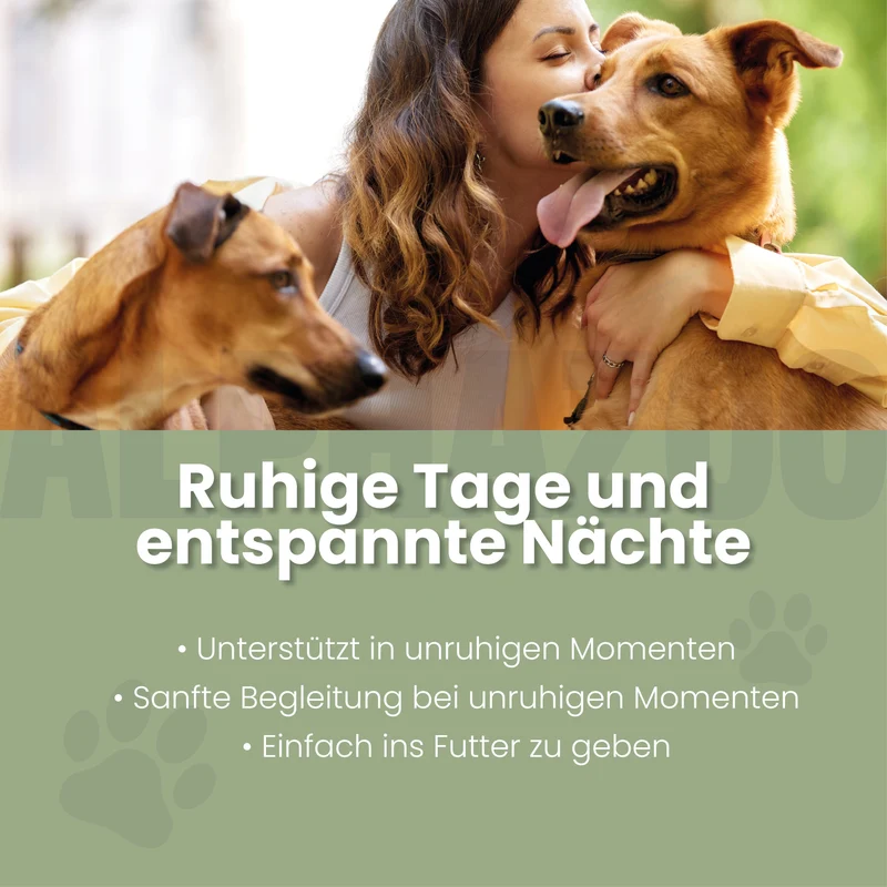 Seelenruhe Tabletten fir Hunde