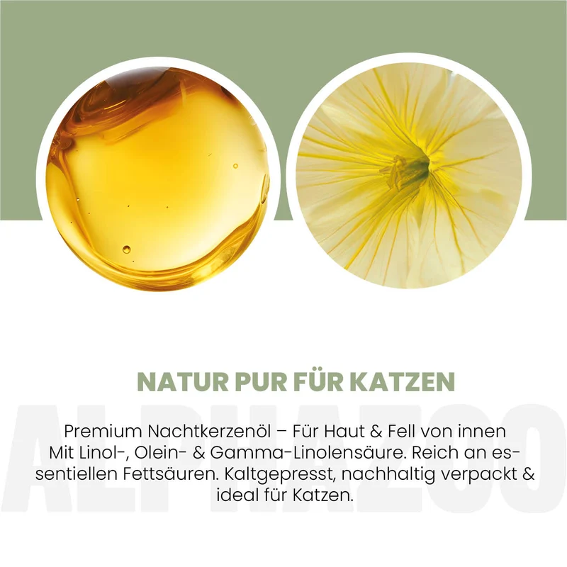 Nuetskärenöl fir Kazen