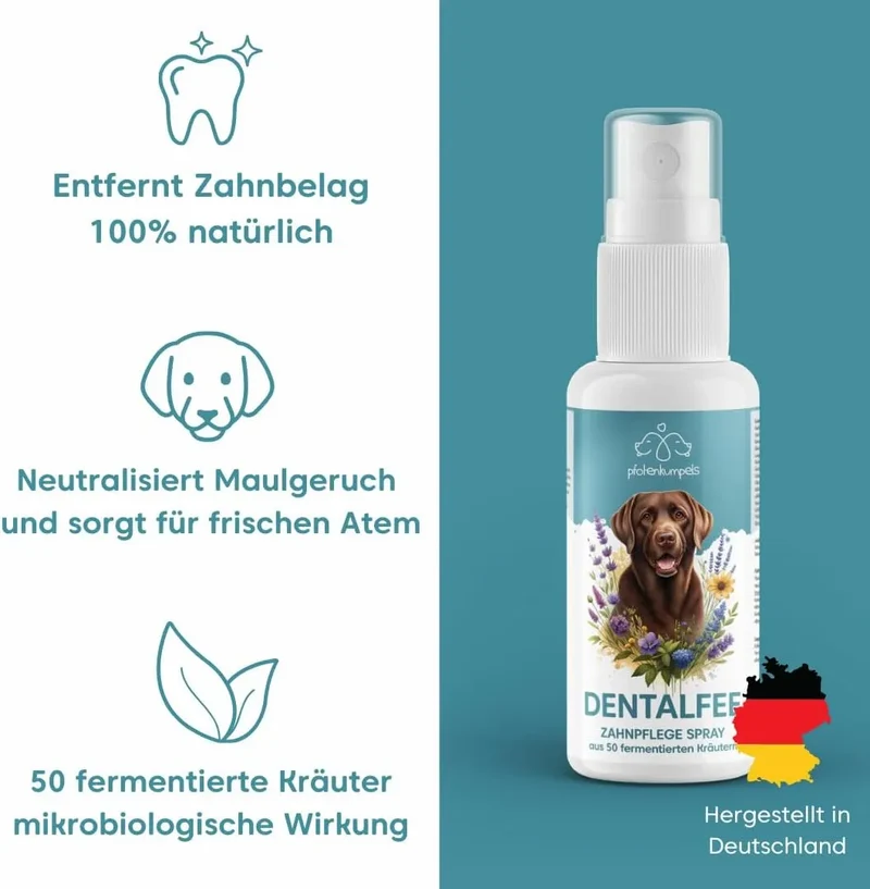 Dentalfee