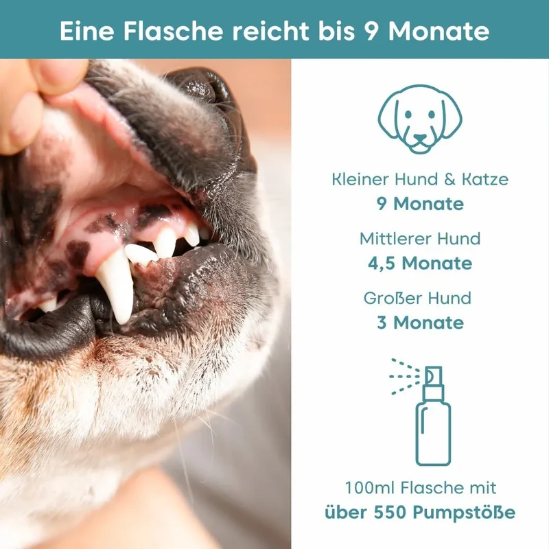 Dentalfee