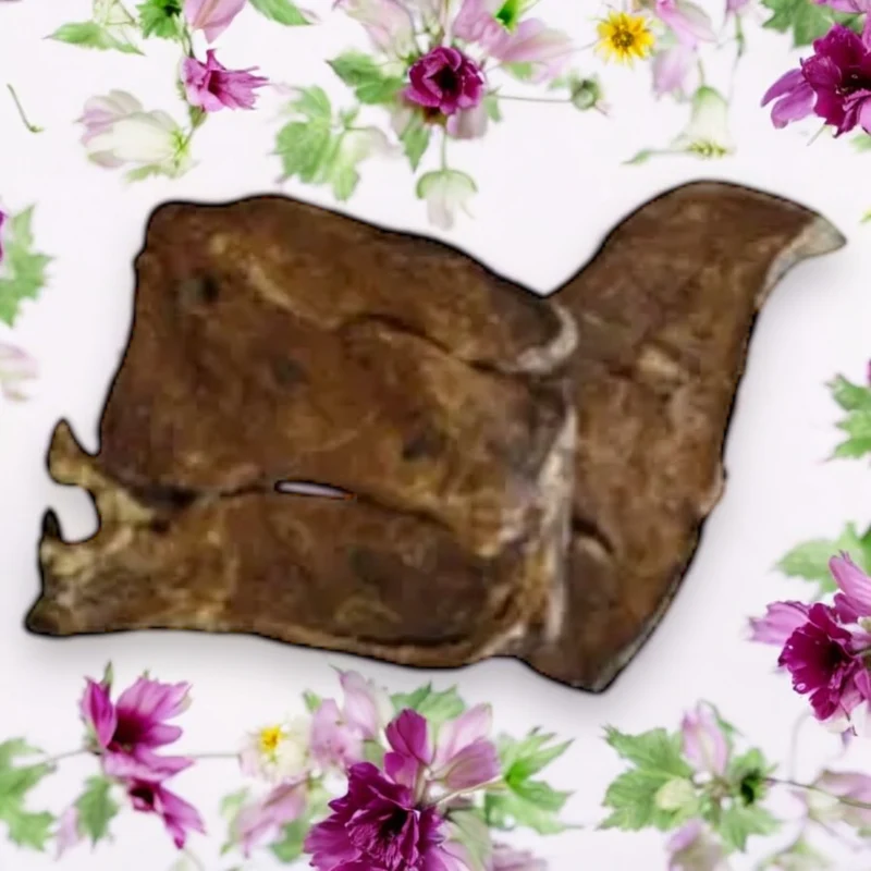 Ziegenlungenplatte getrocknet, Ziegen-Lungenplatte