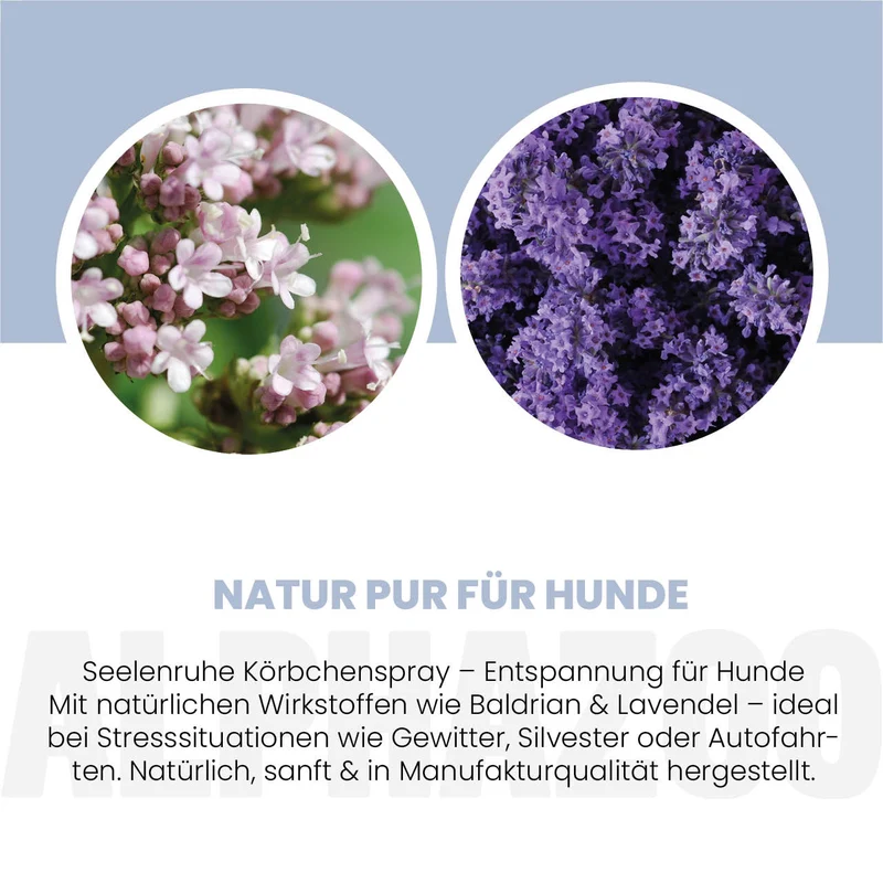 Seelenruhe Körbchenspray für Hunde