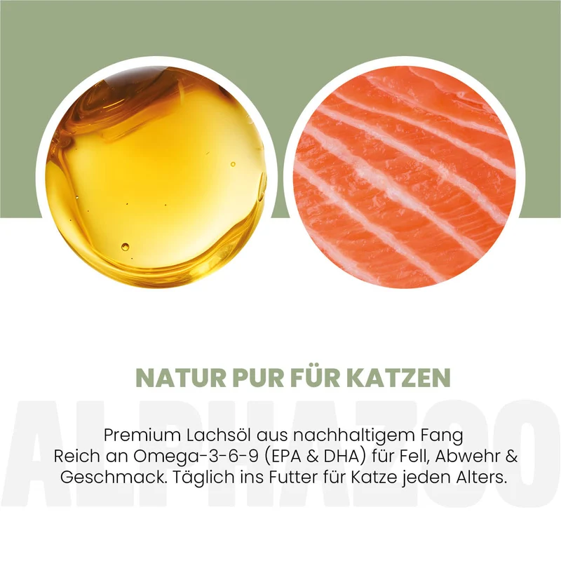 Lachsöl fir Kazen