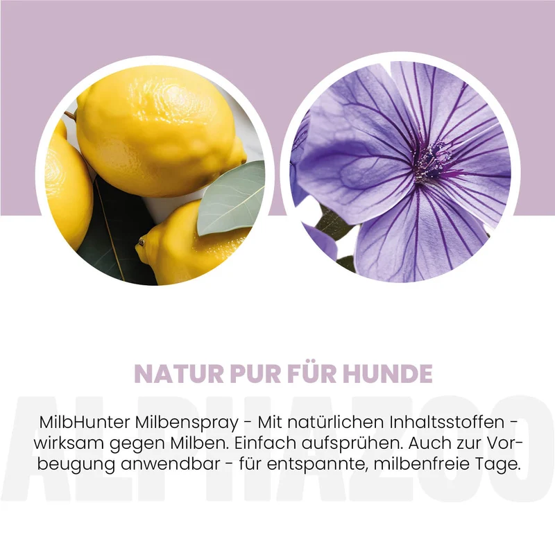 MilbHunter Milbenspray pou Hunde