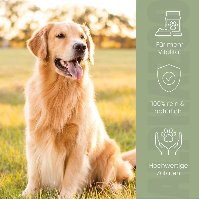 Alpha-Immun Futteröl pou Hunde