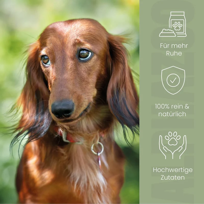 Alpha-Zegg Futteröl fir Hunde