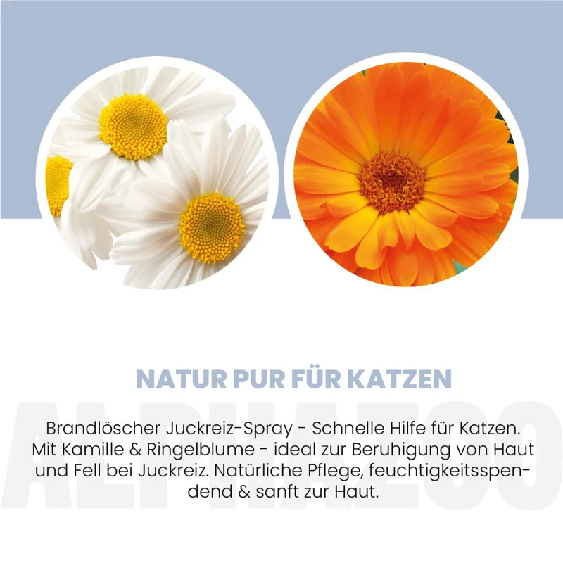 Brandlöscher Anti Juckreiz Spray pou Katzen