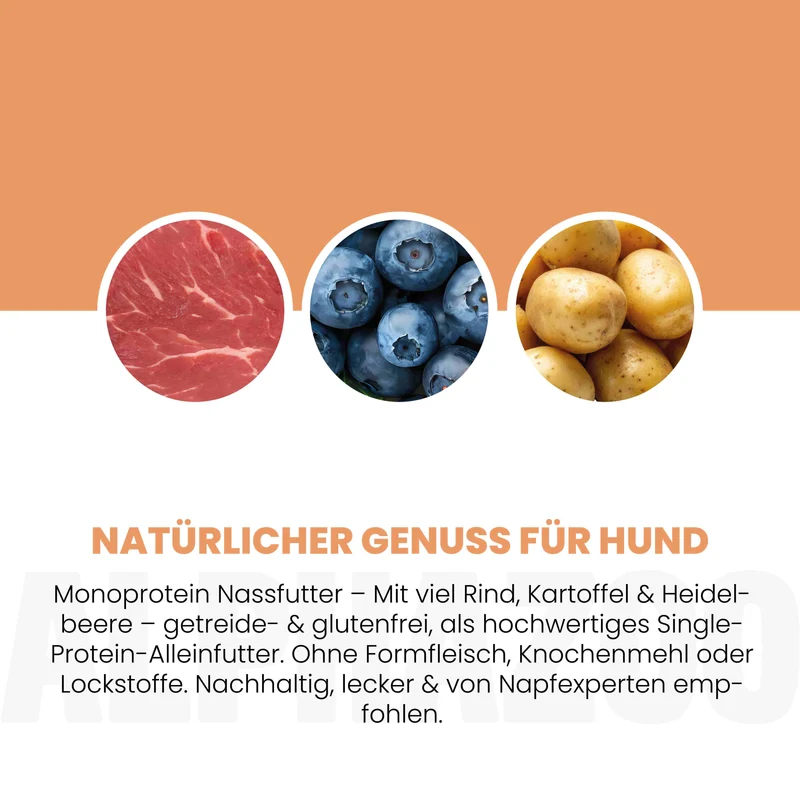 Monoprotein Rind Nassfutter für Hunde