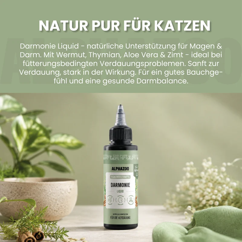 Darmonie Liquid für Katzen