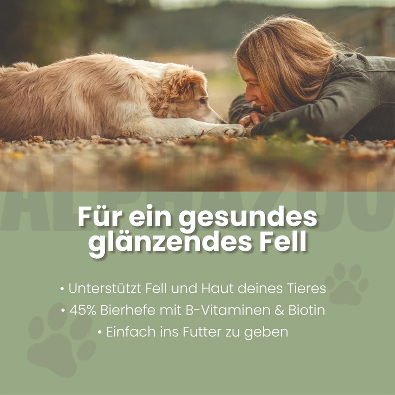 Bierhefe-Tabletten fir Hënn