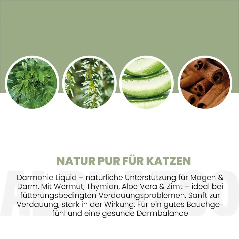 Darmonie Flëssegkeet fir Kazen