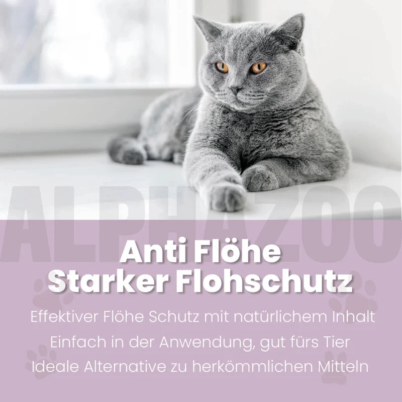ByeByeVloh Spot-On für Katze