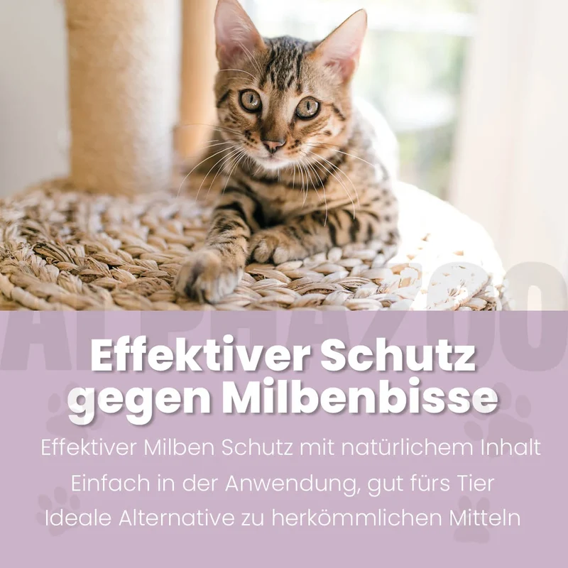 MilbHunter Spot-On pou Katzen