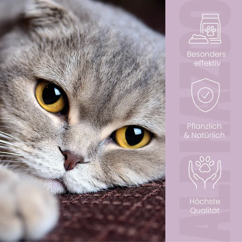 MilbHunter Spot-On pou Katzen