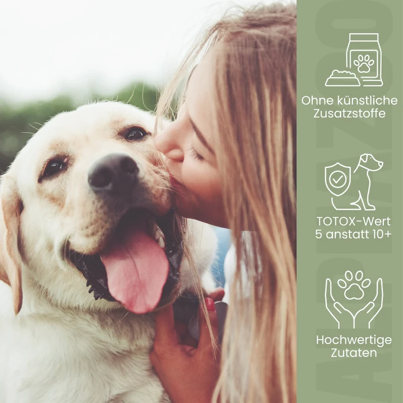 Lachsöl für Hunde