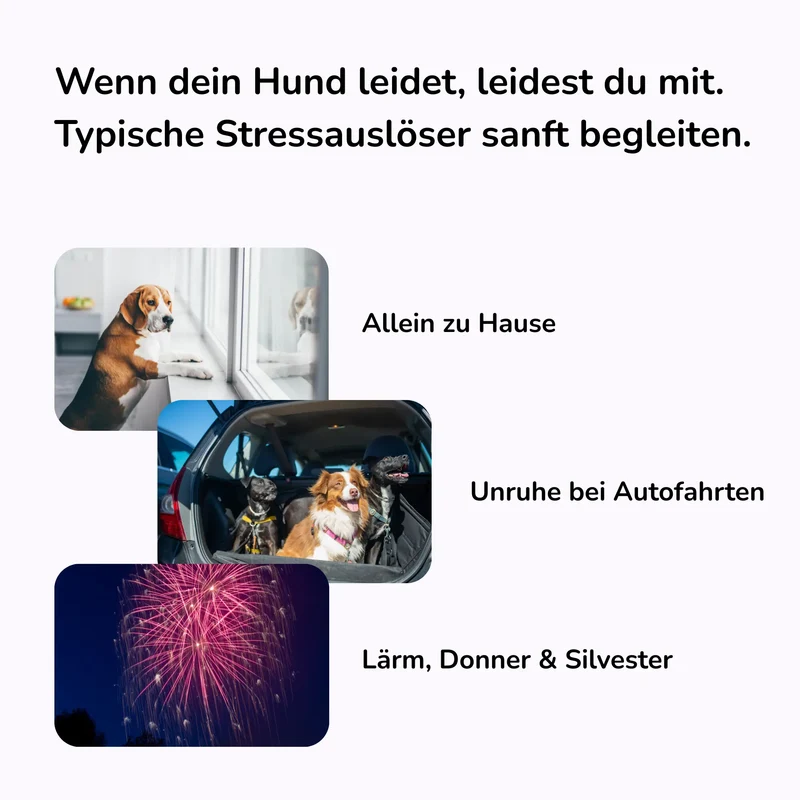 Seelenyoga