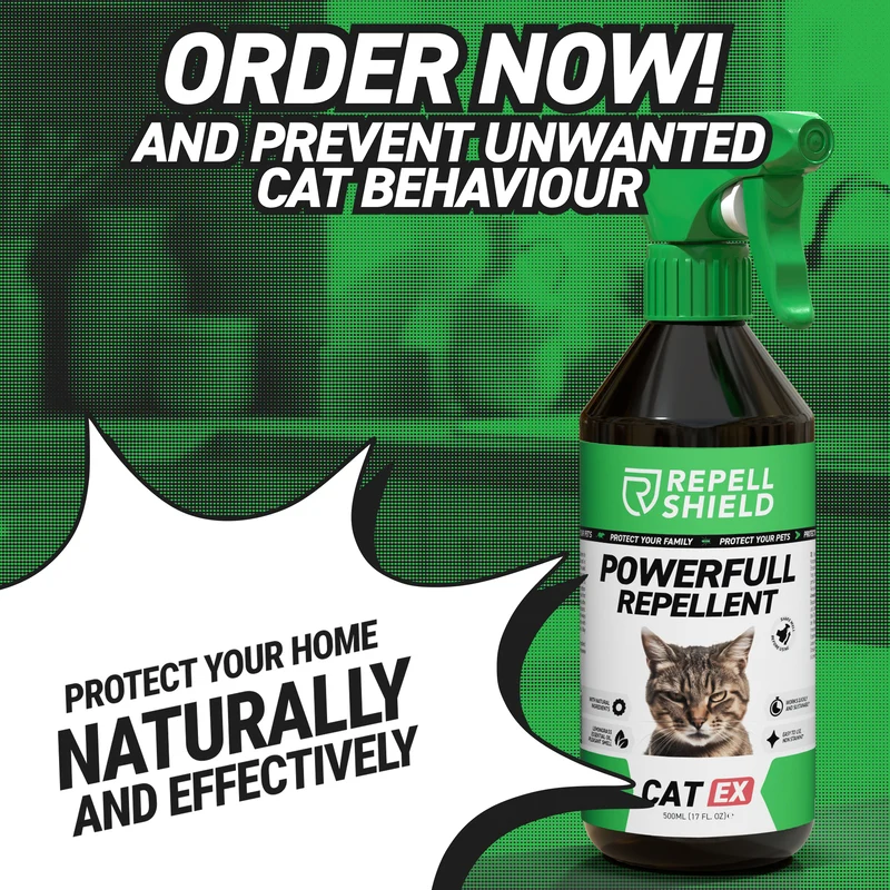 CatEx