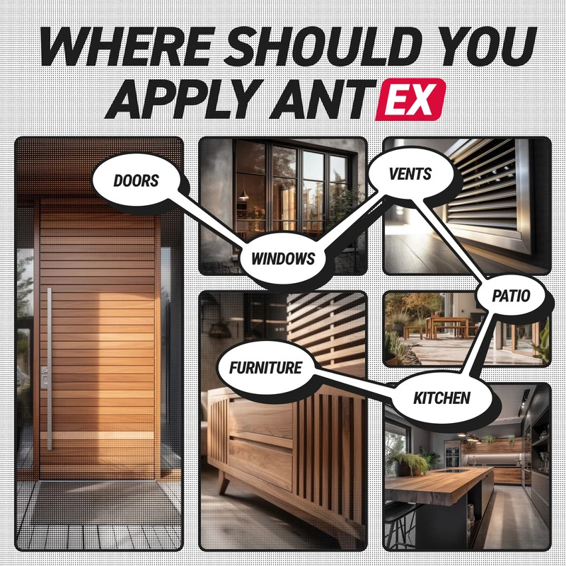 AntEx