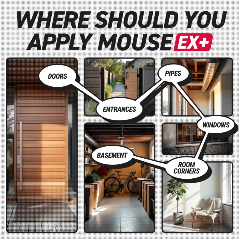 MouseEx+