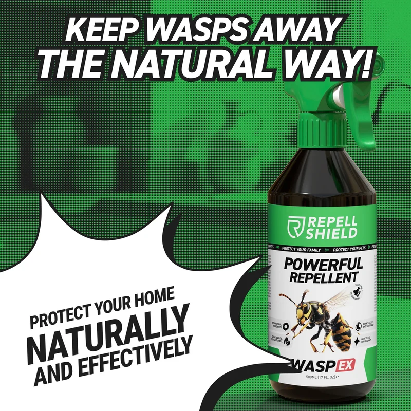 WaspEx