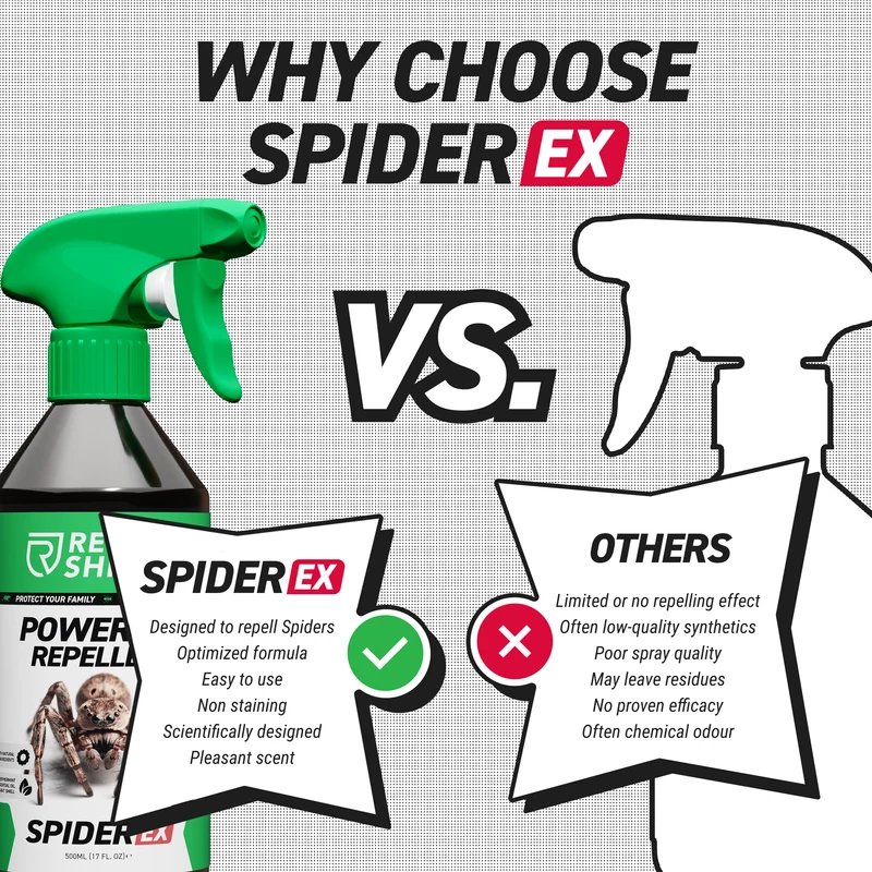 SpiderEx