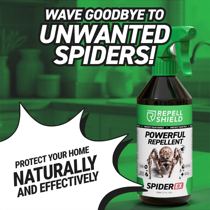 SpiderEx