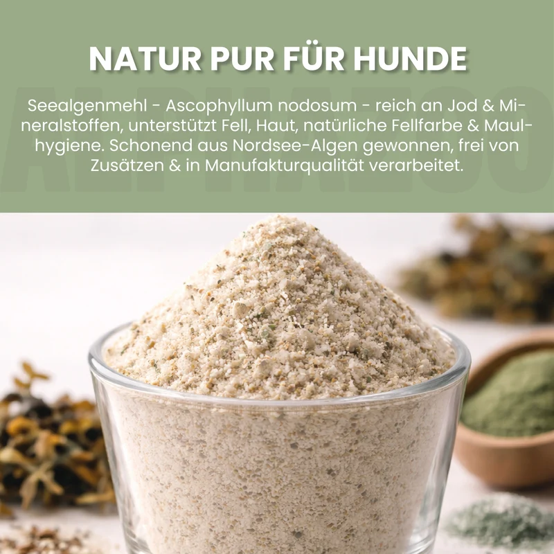 Seealgenmehl für Hunde