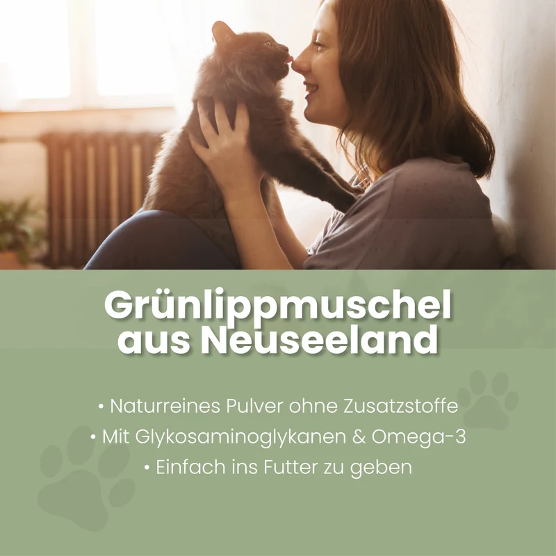 Grünlippmuschel-Pulver für Katzen