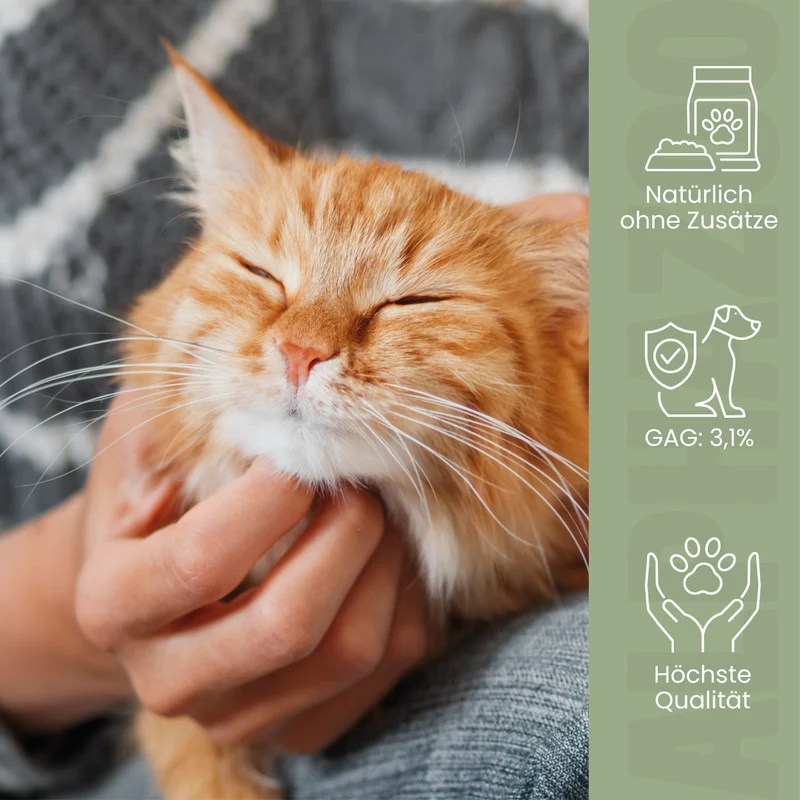 Grünlippmuschel-Pulver für Katzen