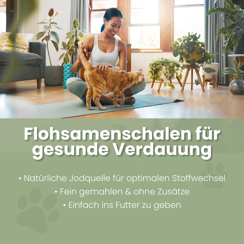 Flohsamenschalen für Katzen